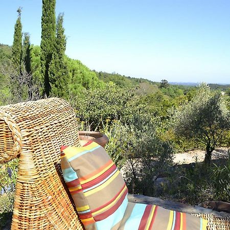 La Briardière Camélas Esterno foto