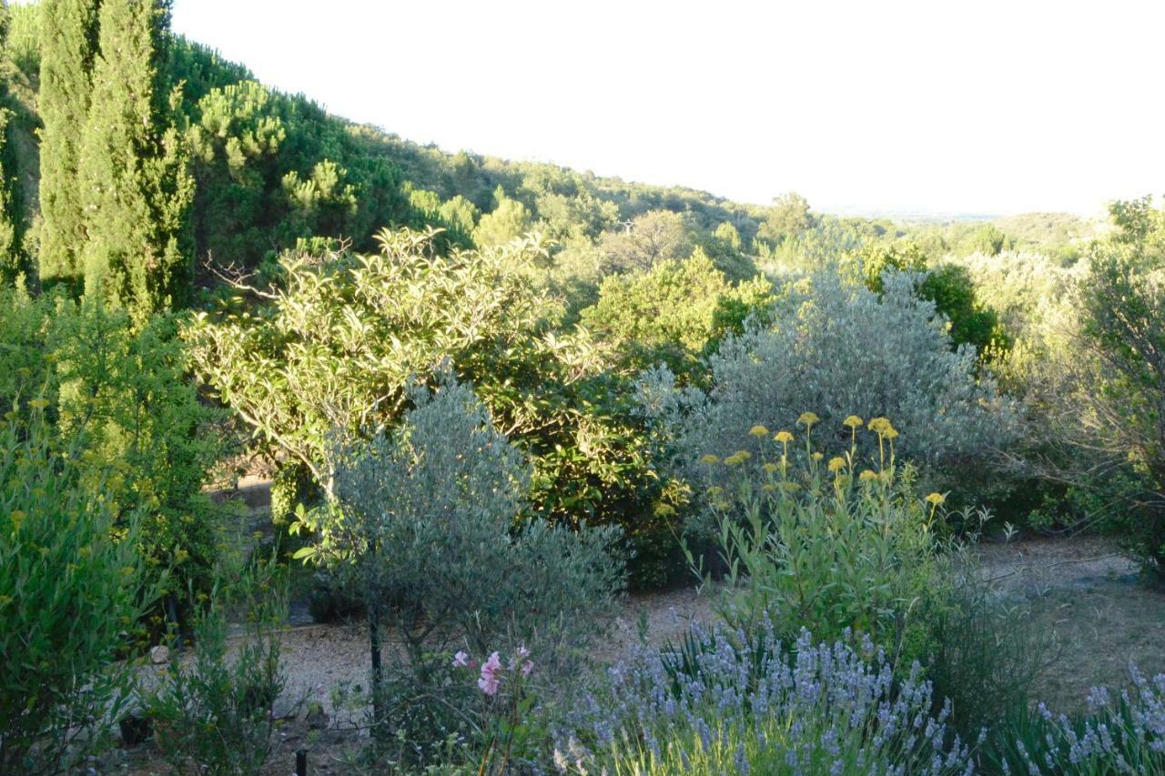La Briardière Camélas Esterno foto